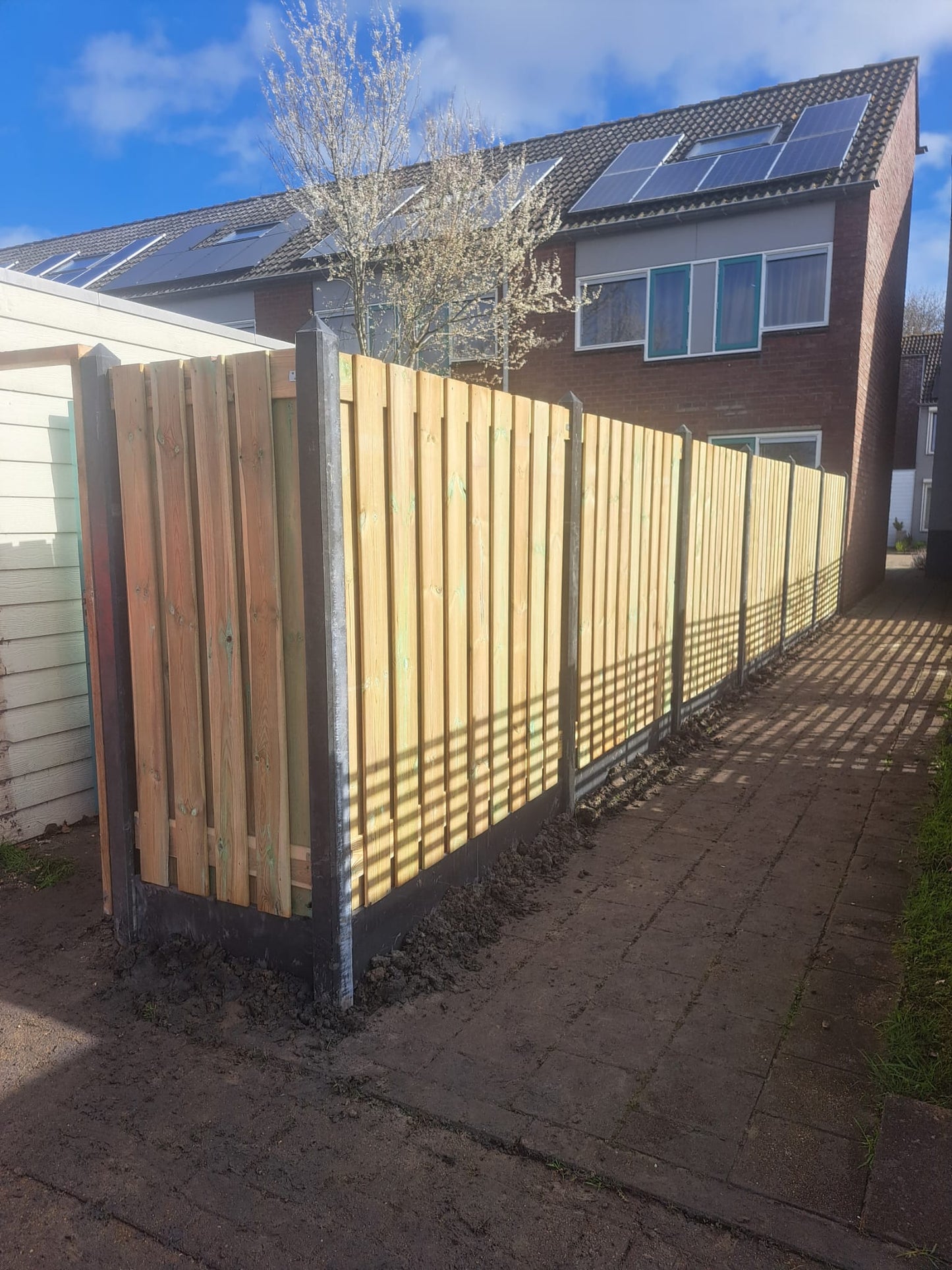 Houttan schutting - 180x180 - geïmpregneerd grenen