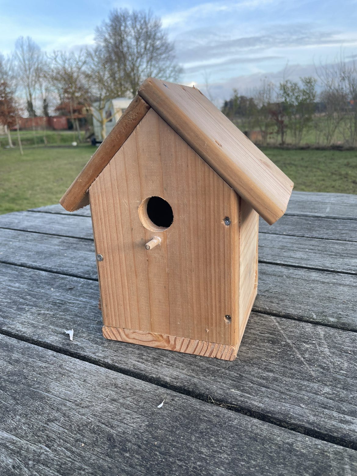 Vogelhuis onbehandeld grenen