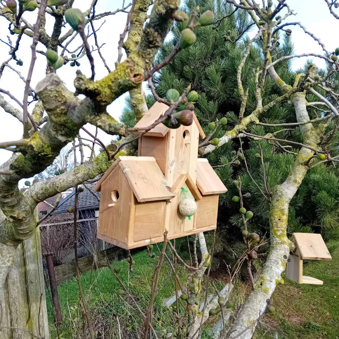 Houttan Vogelvilla XL – Drie Nestkastjes met Centrale Voerplek