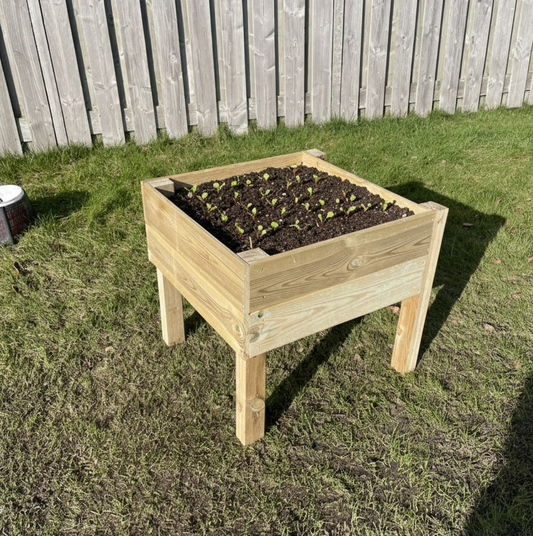 Houttan Moestuinbak – 60 × 60 × 60 cm | comfortabel en overzichtelijk tuinieren