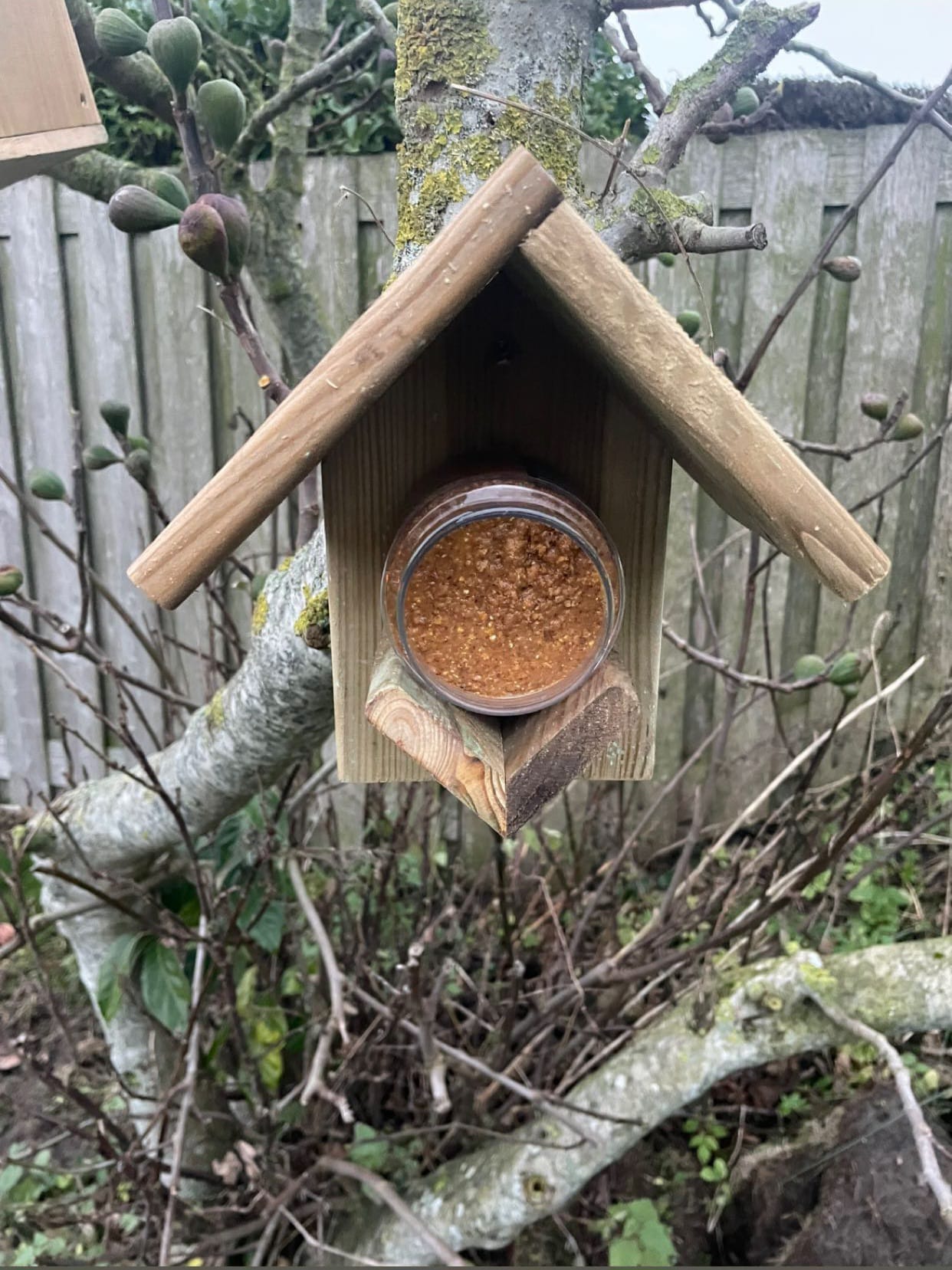 Houttan Houten Voederhuisje Geïmpregneerd Grenen Incl. Pindakaaspot