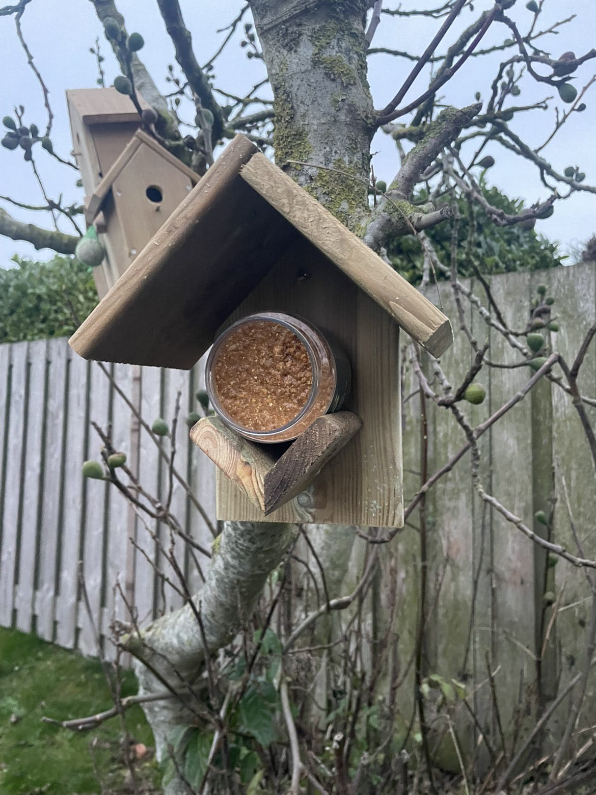 Houttan Houten Voederhuisje Geïmpregneerd Grenen Incl. Pindakaaspot