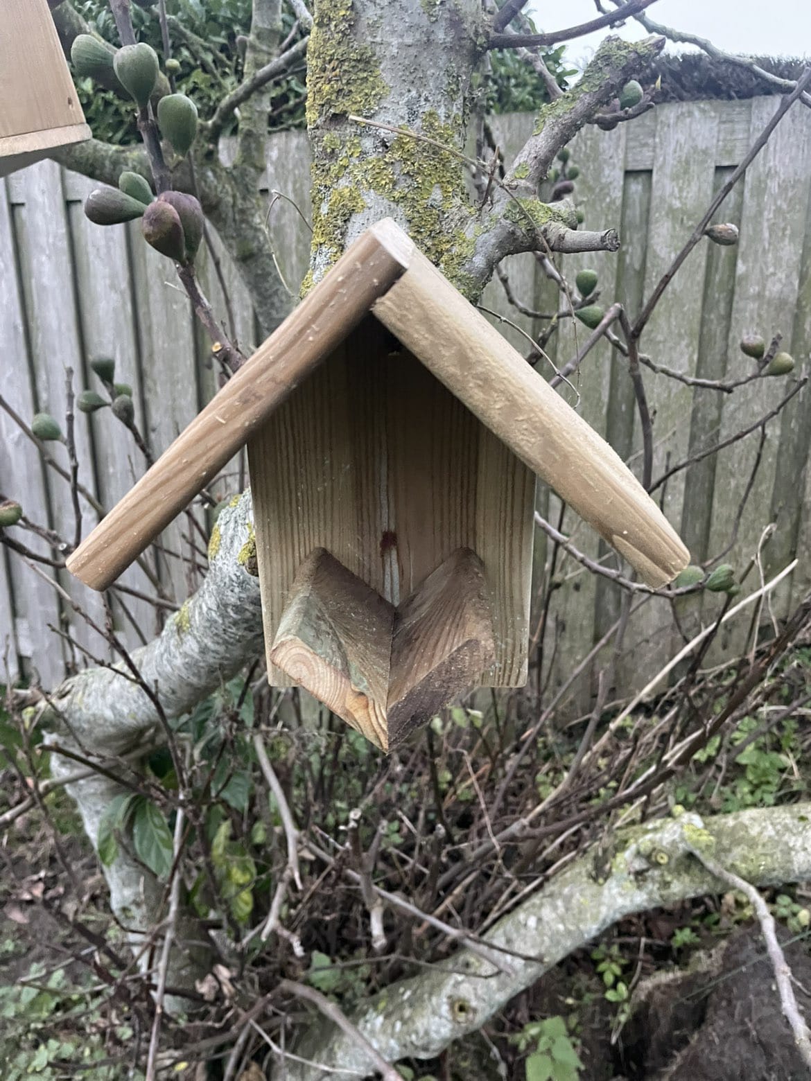 Houttan Houten Voederhuisje Geïmpregneerd Grenen Incl. Pindakaaspot